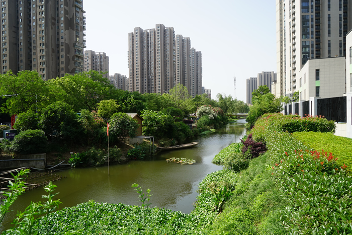 弋江區(qū)流域水環(huán)境綜合治理項(xiàng)目