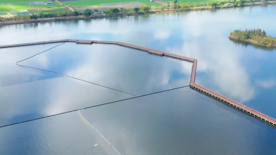 “立體生態(tài)修復(fù)”助力異龍湖內(nèi)源治理顯成效